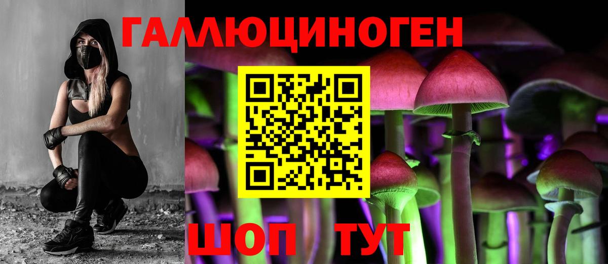 Заводоуковск  Галлюциногенные грибы мицелий  Вход с VPN  Псилоцибиновые грибы GOLDEN TEACHER 